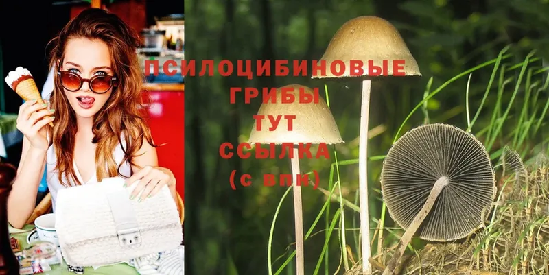 Галлюциногенные грибы MAGIC MUSHROOMS  маркетплейс наркотические препараты  Бугуруслан 